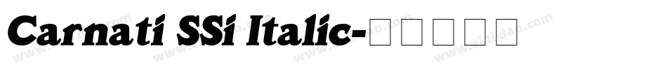Carnati SSi Italic字体转换